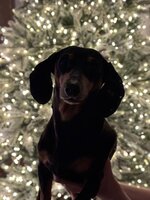 photo_2025-12-18_17-42-04 (2).jpg