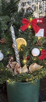 photo_2025-12-20_13-41-06 (2).jpg