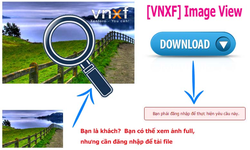[VNXF] Image View