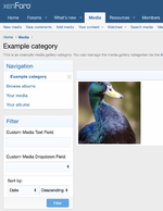 [vbresults.com] Filter Media Fields